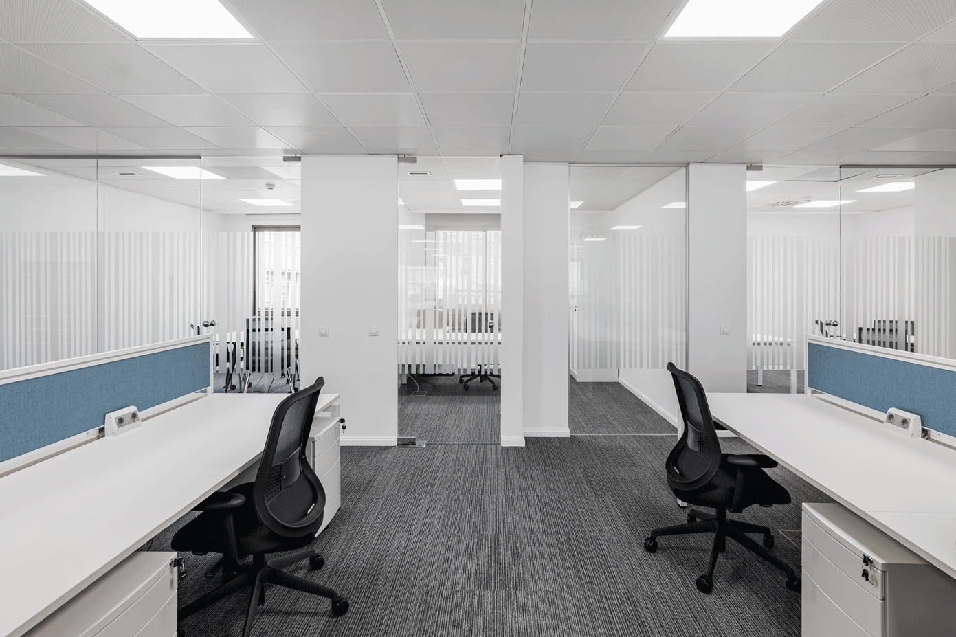 An expansive, contemporary office space featuring grey patterned carpets, multiple white desks, and a calm, monochromatic color scheme.